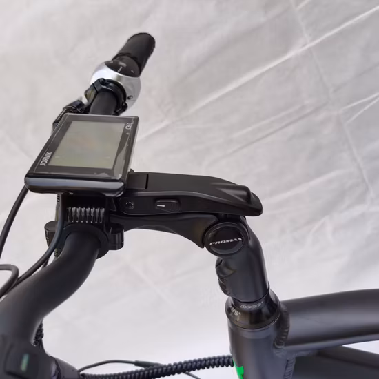 OEM은 공장 가격 전기 세발 자전거 3바퀴 성인 전기 자전거 자전거를 사용자 정의합니다