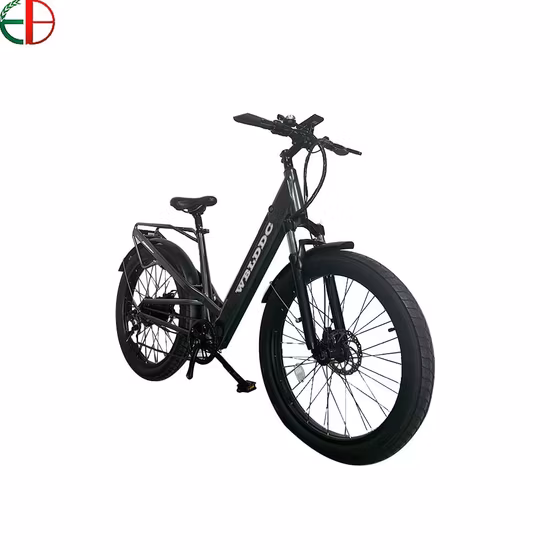 750W 52V 팻 타이어 마운틴 전기 자전거 Ebike 5% 할인